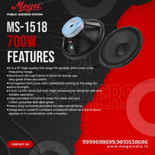 MS 1518 P.A. Speakers