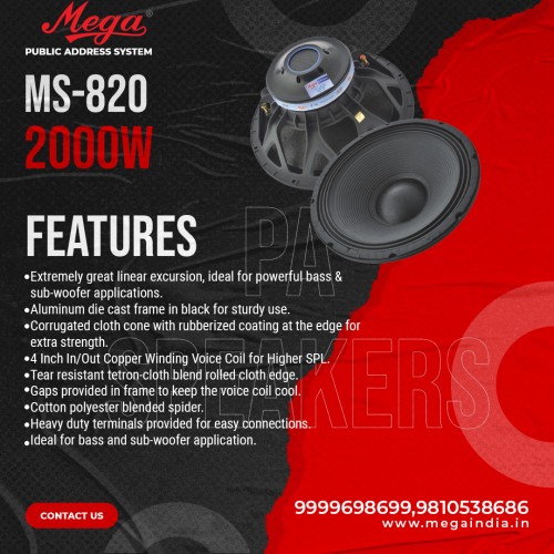 MS 820 P.A. Speakers