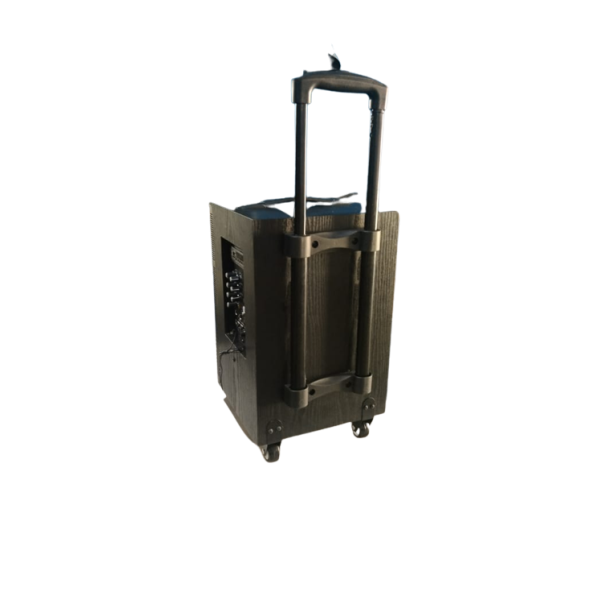 MEGA 50 WATT PORTABLE SYSTEM (MP-810)