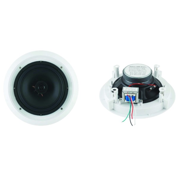 CS - 40 CEILING  Speaker